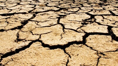 Неисполненные обещания и несбывшиеся прогнозы. Почему фермеры трёх южных регионов РК снова остались без воды