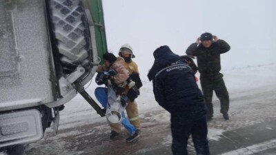 В Жамбылской области спасли 110 водителей и пассажиров автомобилей, застрявших на трассе
