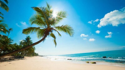 Путёвку на Мальдивы разыграют среди вакцинированных в Нур-Султане