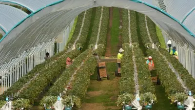 Тысячи казахстанцев уезжают на нелегальные заработки за границу при дефиците качественных кадров на родине