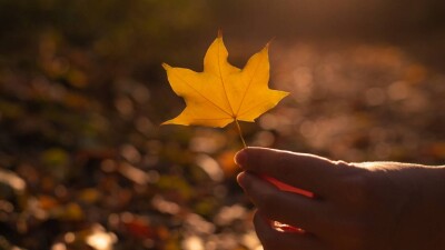 Тёплая погода сохранится в Казахстане в ближайшие дни, пройдут дожди