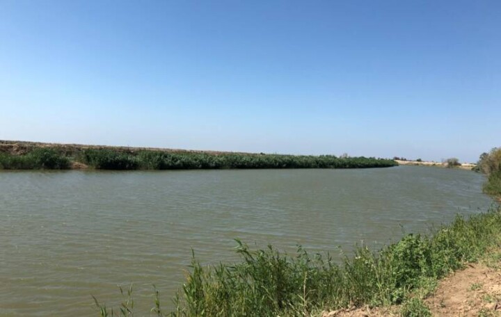 Минэкологии: Предприятия загрязняют воду в реке Жайык только в Актюбинской области
