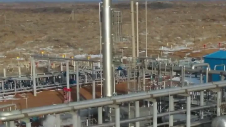 Месторождение газа на территории лесного фонда начинают осваивать в Жамбылской области