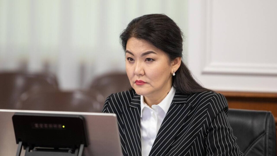 "Усилится расслоение на богатых и бедных". Гиният ответила на предложение ввести накопительную систему ОСМС