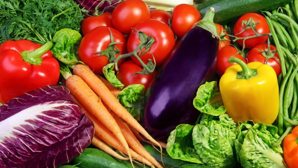 Единственный способ снижения цен на продукты назвали в НПП