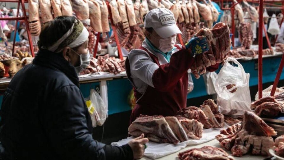 Можно ли в Алматы купить качественное мясо по 2050 тенге