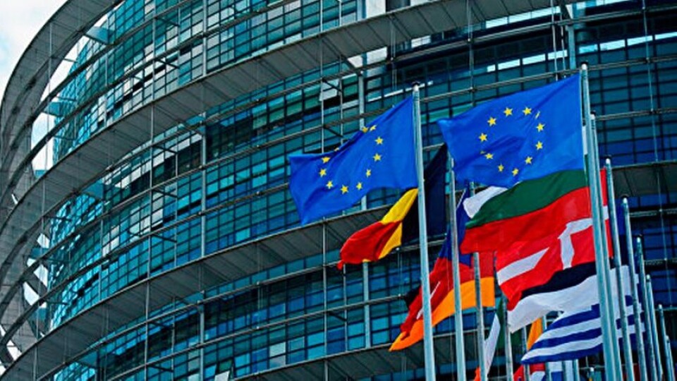 Европарламент принял резолюцию о том, что в Казахстане нарушаются права и свободы человека