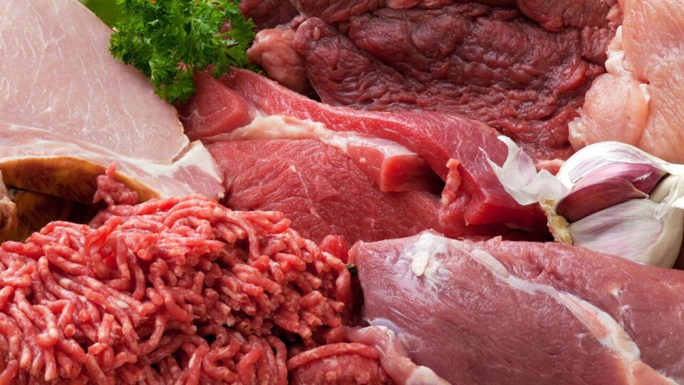 Казахстанцы смогут покупать свежее и проверенное мясо напрямую у фермеров через мобильное приложение