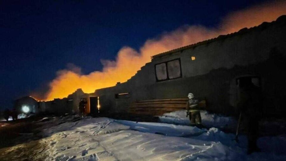 В Туркестанской области при пожаре погиб пастух, сгорели 1150 овец