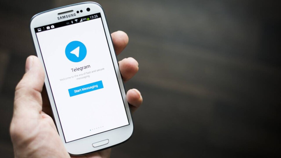 Проверить наличие у компании признаков финпирамиды теперь можно с помощью Telegram-бота
