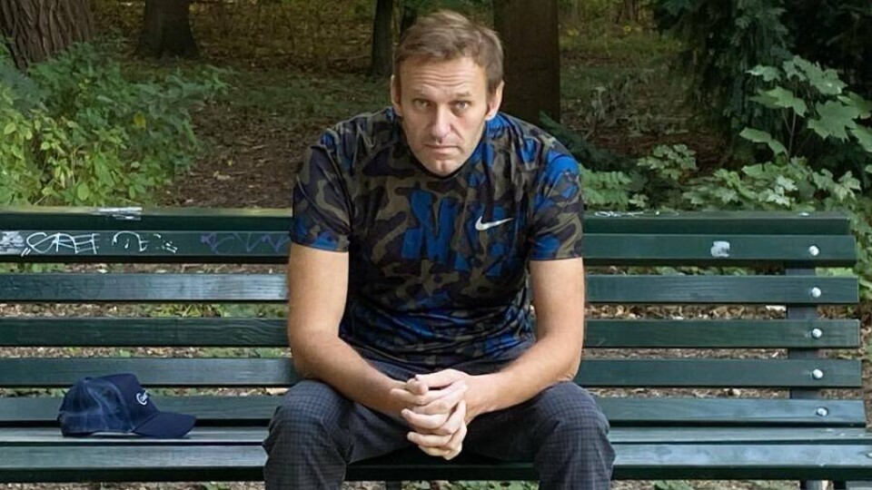 В России возбудили дело против Навального и его соратников о создании экстремистского сообщества