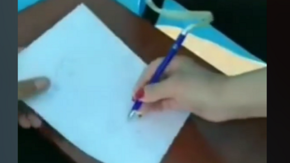 "Раздают ручки с исчезающими чернилами". Старое видео в сети выдают за сенсацию на референдуме