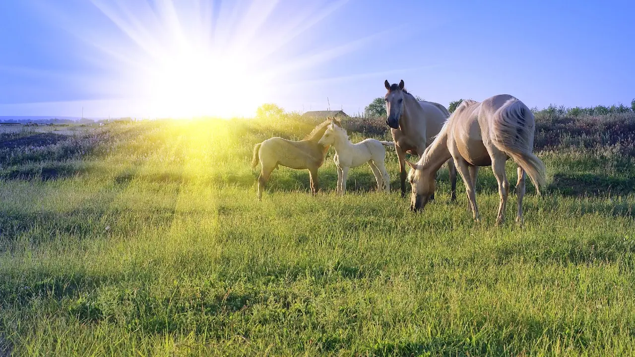 Фото Depositphotos