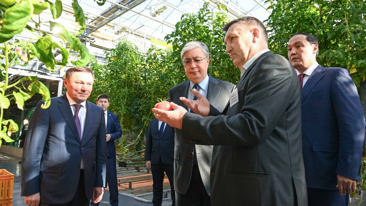 Токаев оценил экспортные возможности тепличного комплекса в Степногорске
