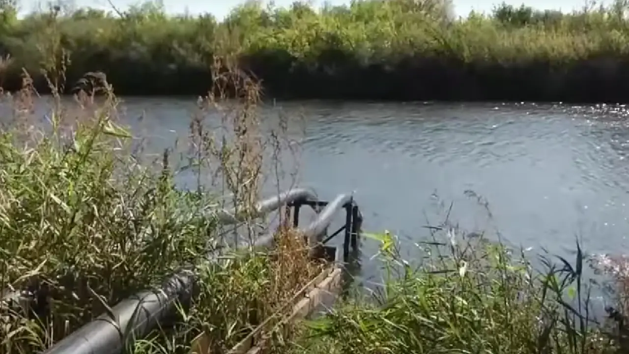 Скриншот из видео 31 канала