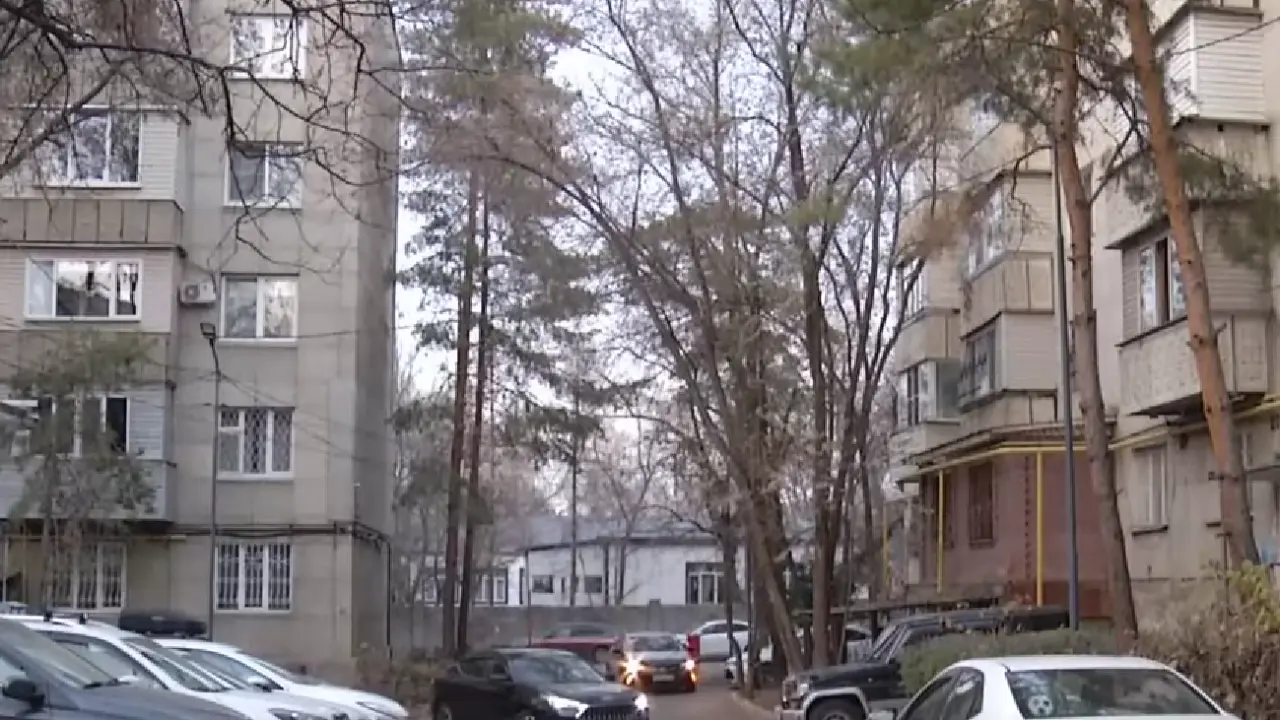 Скриншот из видео 31 канала