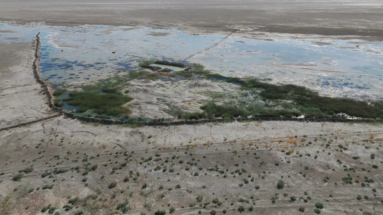 Улучшение экосистемы дна Арала: в Казахстане запускается проект мирового значения