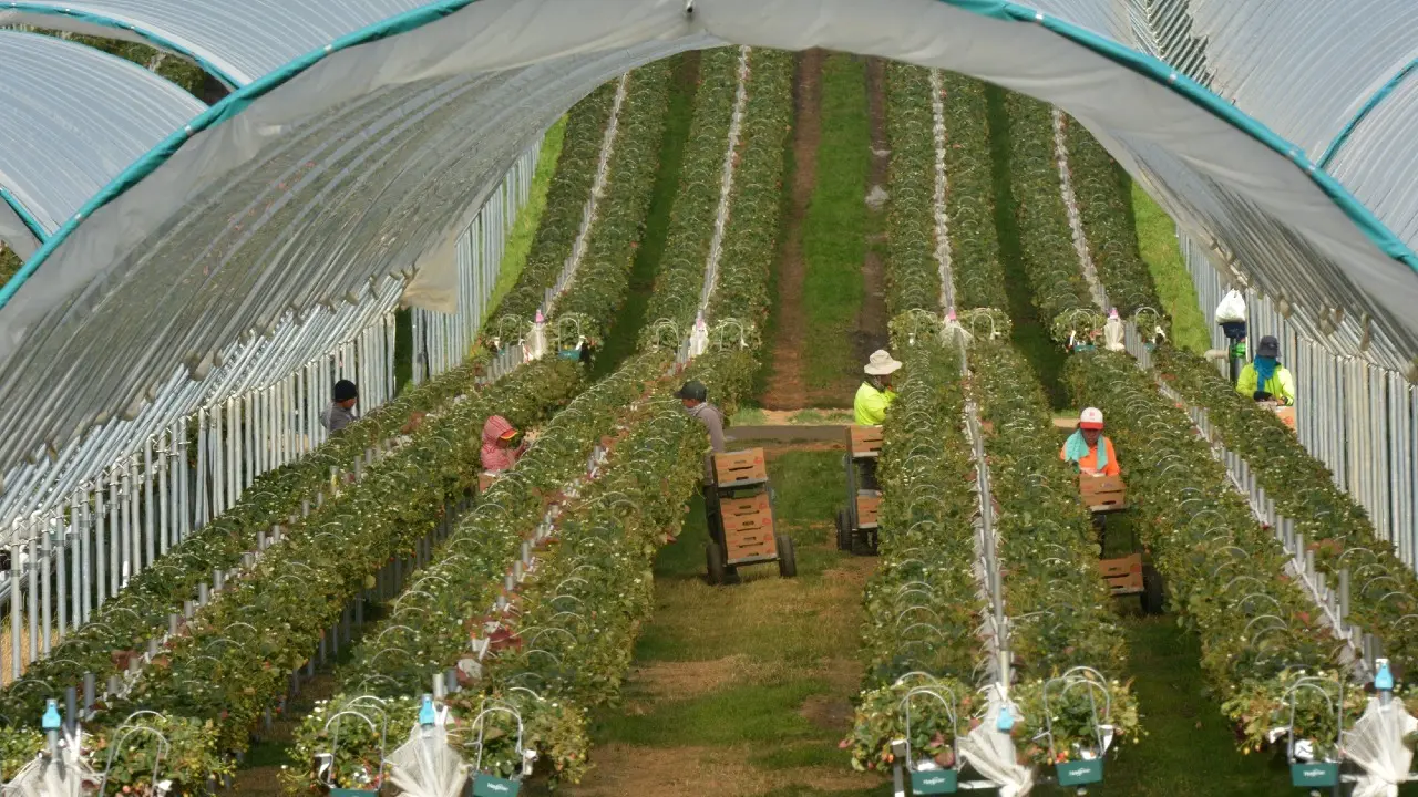 Фото Depositphotos