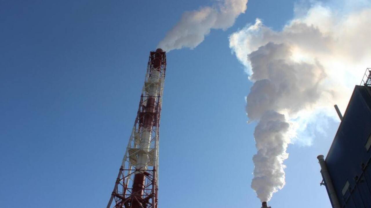 Участки для ИЖС близ химического предприятия выдали жителям Жамбылской области