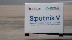 Разработчики "Спутника V" модифицируют вакцину для создания иммунитета против новых штаммов Covid-19