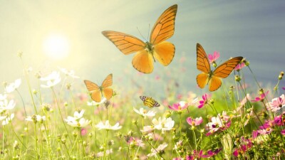 Прогноз погоды на 27 июня: синоптики обещают постепенное потепление на большей части Казахстана