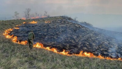 Пожар в Кулунджунском государственном заказнике в ВКО: горит 100 гектаров