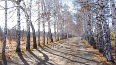 Часть территории ботанического сада Караганды собираются вернуть в госсобственность