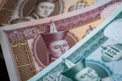 Власти Монголии выдадут по 100 долларов каждому гражданину страны из-за усиления карантинных мер