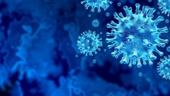 В Казахстане за две недели не зарегистрировали ни одной смерти от Covid-19