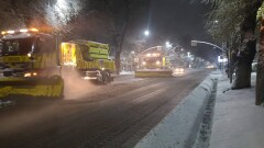 В Алматы выпало 10 сантиметров снега