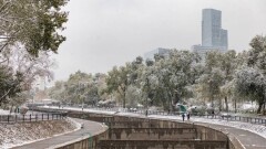 Восемь сантиметров снега выпало в Алматы
