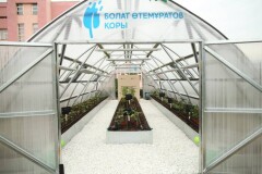 В Алматы дети самостоятельно выращивают овощи в теплицах благодаря проекту "Зелёные школы"