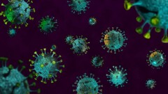 Число новых случаев заражения коронавирусом за неделю выросло в четыре раза