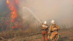 Лесной пожар вспыхнул в Абайской области, под угрозой санаторий