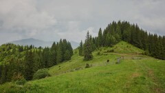 На каких горных склонах в Алматы запретят строительство