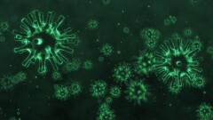 В Казахстане за сутки зарегистрировали 3081 случай заражения Covid-19