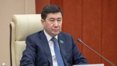 "Депутаты стали чаще поднимать острые проблемы". Кошанов рассказал президенту о работе мажилиса