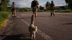 Что происходит в Украине. Главное за день 17 июня