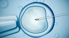 ЭКО нельзя будет оплатить за счёт пенсионных накоплений, потому что на эту процедуру уже выделили 7000 квот