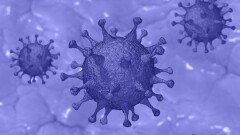 Число заразившихся Covid-19 в Казахстане с начала пандемии превысило 1 млн человек