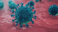 В Казахстане за сутки зарегистрировали 87 случаев заражения Covid-19
