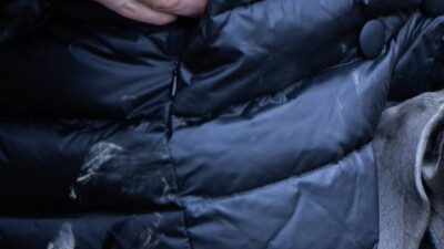 Аким Алматы обратился к владельцам собак