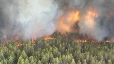 Лесной пожар в Абайской области: подозреваемыми признали руководителей резервата "Семей-Орманы"