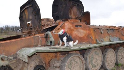 Что происходит в Украине. Главное за день 20 апреля