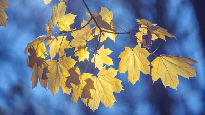 Прогноз погоды на 3 сентября: жара сохраняется на большей части Казахстана