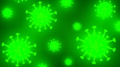 Кызылординская область перешла в "зелёную" зону по темпам распространения КВИ