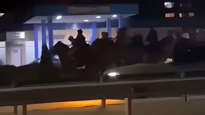 Полиция нашла участников кокпара, который устроили на проезжей части трассы Алматы – Оскемен