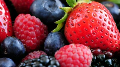 В Польше некому собирать ягоды. Украинцев предлагают заменить узбекскими рабочими