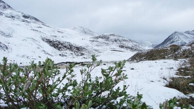 В Кыргызстане в конце лета выпал снег