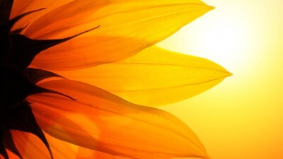 Сколько дней отдохнут казахстанцы в июле. Календарь выходных